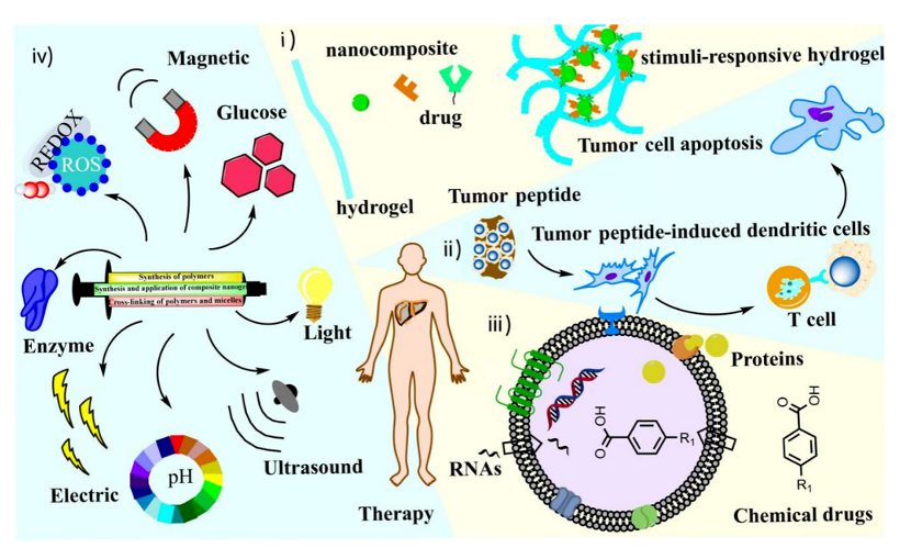 图1 基于点击反应水凝胶的合成及其刺激响应调控药物的释放.png